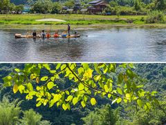 -靖西鹅泉风景区