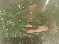 -VT101维多利广场