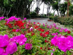 -南诏风情岛