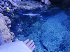 -郑州海洋馆