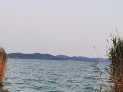 -上海市保健医疗中心