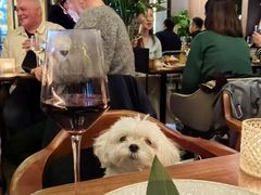 -ibarrel爱杯·bistro&brunch(江宁路店)