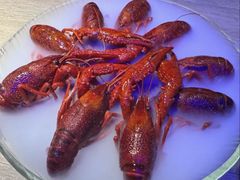 -红盔甲·小龙虾(定西路店)