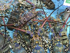 -渔民新村(番禺总店)