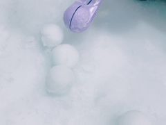 -Mr·Kuma酷么先生雪之乐园