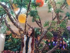 -拉斯维加斯永利酒店