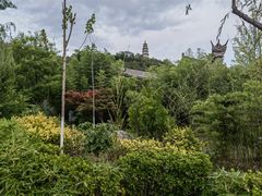 -渭南桃花源民俗文化园