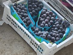 -马陆小张葡萄园农家乐