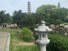 -江心屿景区