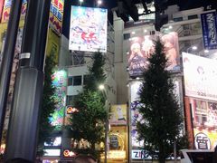 -秋叶原电器街