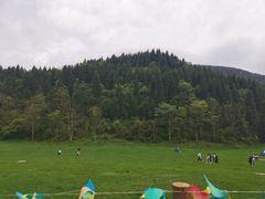 -武陵山森林公园