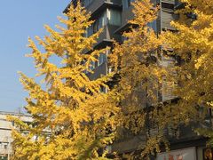 -龍城柳州螺蛳粉(群星路店)