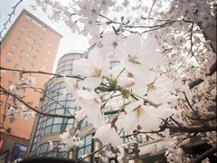 -光启城时尚购物中心