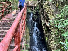 -海南热带雨林国家公园吊罗山景区