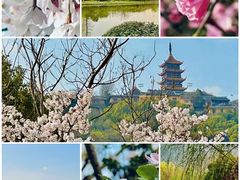 -狼山风景名胜区