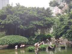 -九龙公园