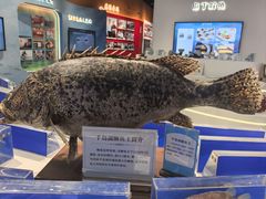-千岛湖鱼味馆(十字街总店)