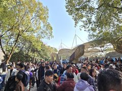 -合肥野生动物园