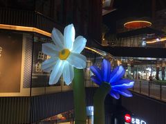 -赵小姐丨新中餐(曲江店)