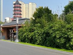 -绳金塔