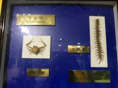 -上海昆虫博物馆