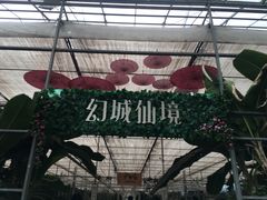 -龙达温泉生态城
