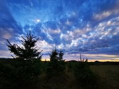 -塞罕坝国家级自然保护区