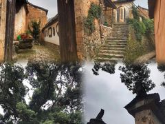 -杨家堂村