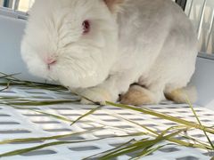 -小意思咖啡店(草桥店)