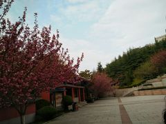 -石岛赤山风景区