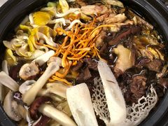 -菌粹源野生菌(木水花市场店)