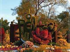 -上海共青森林公园