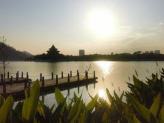 -顺峰山公园