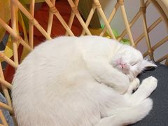 -北化机爱工场文化科技融合产业园