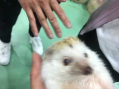 -藦茜花园宠物主题亲子互动体验馆(国顺东路店)