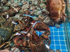 -和源祥·日照菜扛把子(万平口一店)