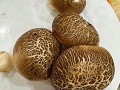 -天津瑞湾开元名都酒店餐厅