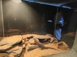 -Zoolung Zoolung动物主题公园(海信广场店)