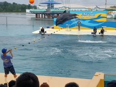 -秦皇岛乐岛海洋王国