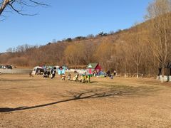 -大连铭湖国际观光牧场