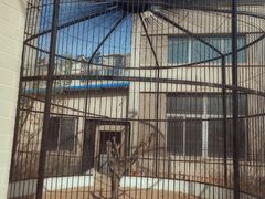 -沈阳市大东区海蓝花语幼儿园