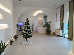 -紫琪尔·匠心连锁·胸部护理养护