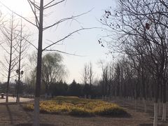 -永定河休闲森林公园