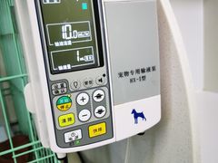 -瑞鹏宠物医院·宠保定点·心脏科·内科(御桥分院)
