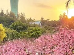 -狐尾山公园