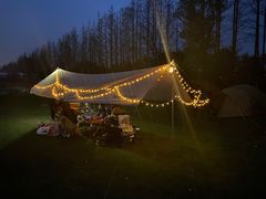 -前小桔亲子创意农场·草莓采摘·露营烧烤