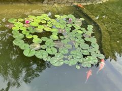 -春风习习