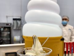 -麦德龙(浦东店)