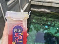 -华清宫景区