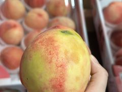 -南汇水蜜桃采摘(大团店)